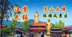 两个人性爱視频播放江苏无锡灵山大佛旅游风景区