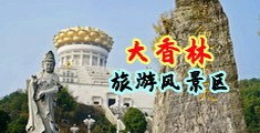 成人操比黄色视频中国浙江-绍兴大香林旅游风景区