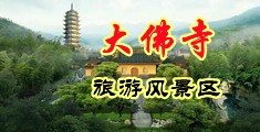 啊啊啊啊啊操我,操我的骚逼视频中国浙江-新昌大佛寺旅游风景区